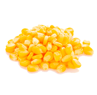 sweet corn2